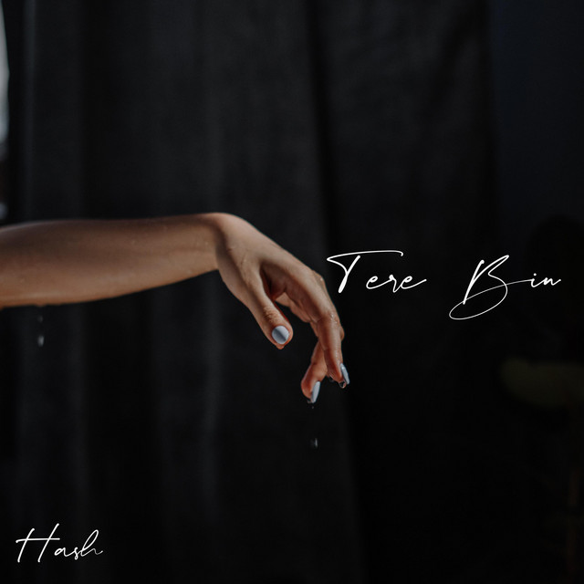 Tere Bin cover art