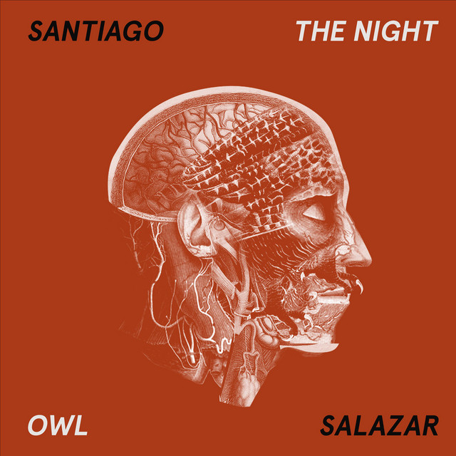 The Night Owl cover art