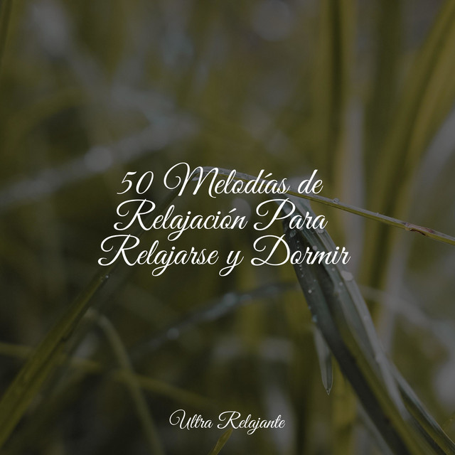50 Melodías de Relajación Para Relajarse y Dormir - Album by Musica ...
