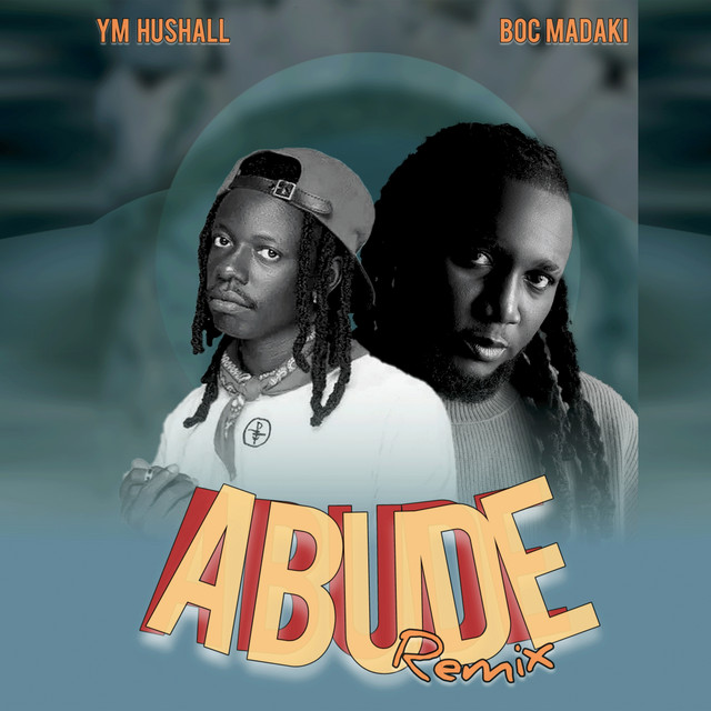 Abude Remix album image