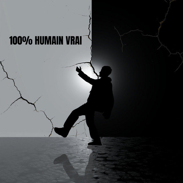 100% HUMAIN VRAI cover art