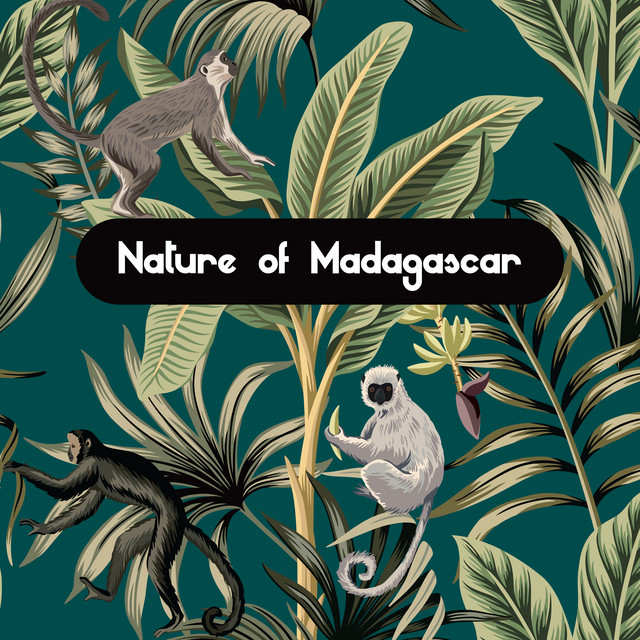 Nature of Madagascar - Listen the Sounds of the Rainforest and Exotic Animals Like Elephants, Monkeys, Parrots, Crocodiles and More cover art