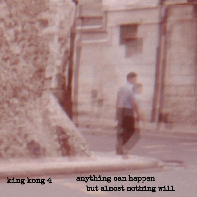 Anything Can Happen, But Almost Nothing Will cover