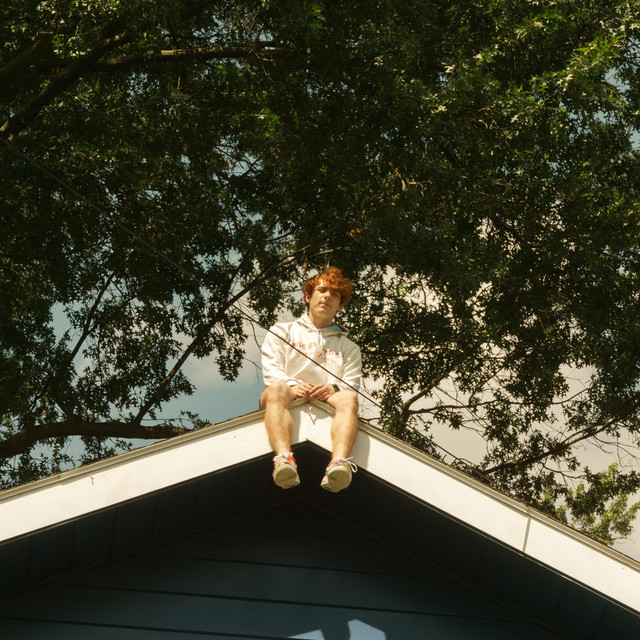 Blue House cover art