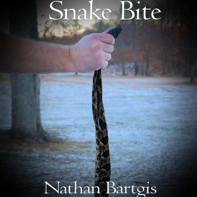 Snakebite cover art