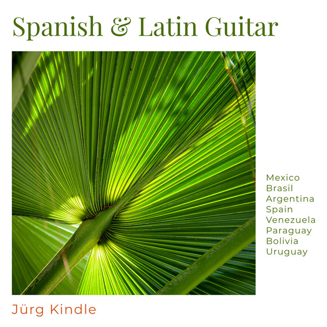 Spanish & Latin Guitar cover art