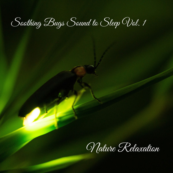 Nature Relaxation: Soothing Bugs Sound to Sleep Vol. 1 - Album by ...