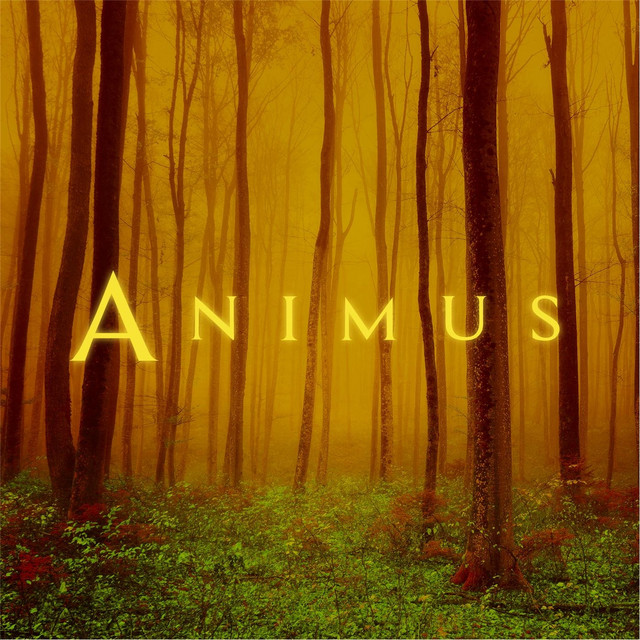 Animus II cover art