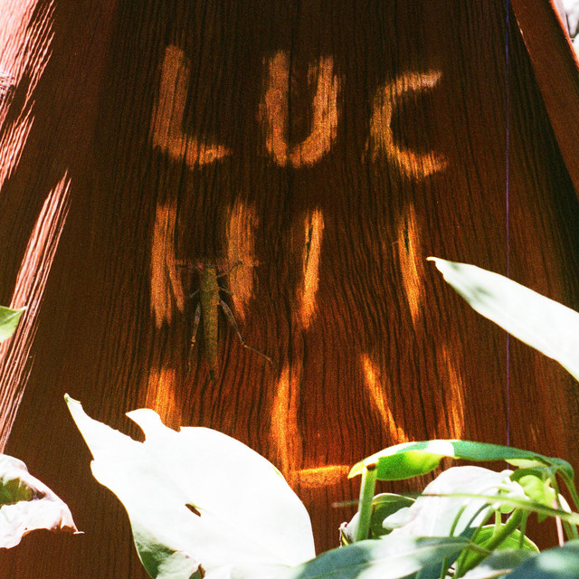 Lost Loops Vol. V cover art