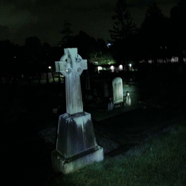 Don’t Let It Be In Vain