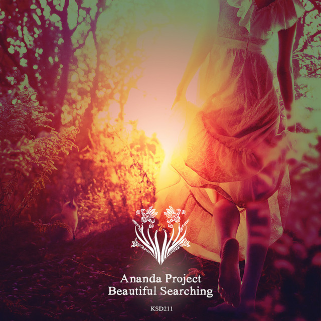 Beautiful Searching cover art