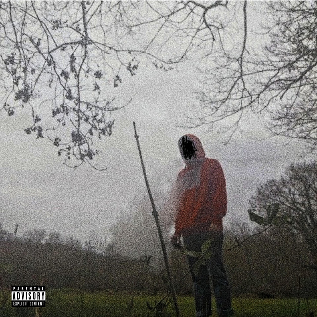 COMME LES AUTRES cover art