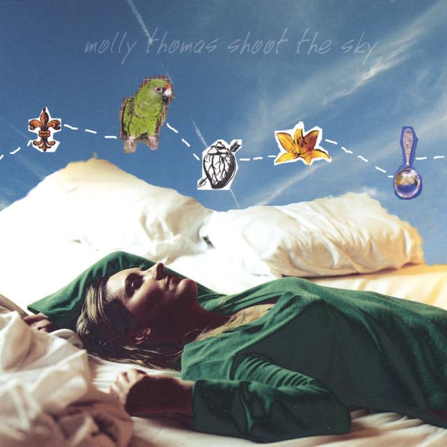 Shoot the Sky cover art