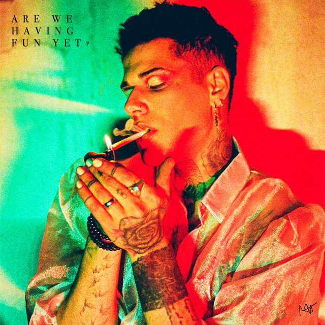 ARE WE HAVING FUN YET? cover art