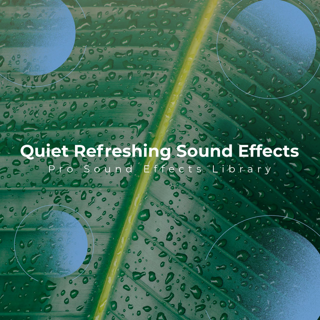 Chimes on the Breeze - song and lyrics by Pro Sound Effects Library ...