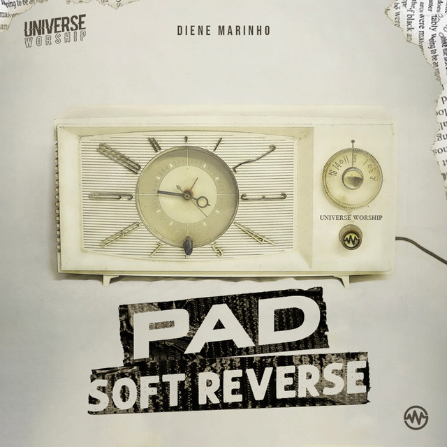 C# (Db) Pad Soft Reverse