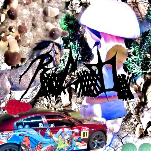 6 Racks cover art