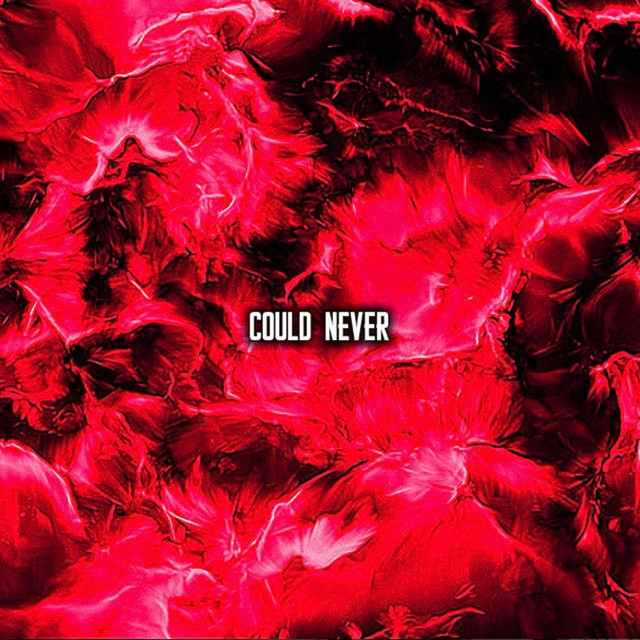 Could Never cover art