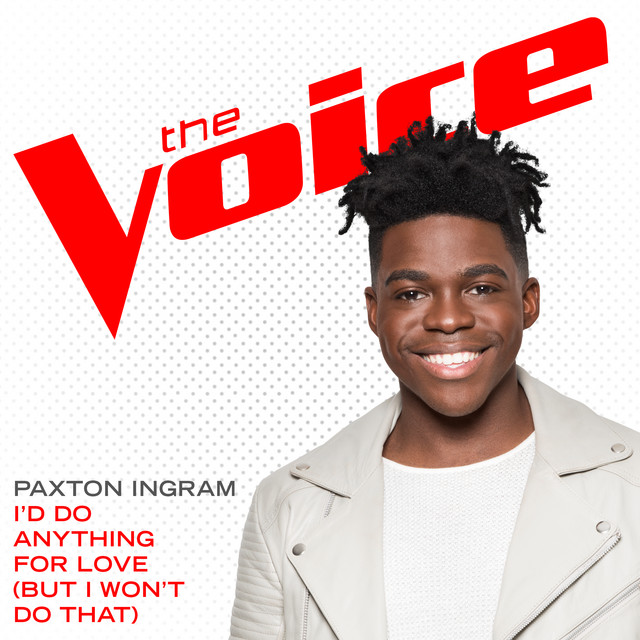 I’d Do Anything For Love (But I Won’t Do That) [The Voice Performance] cover