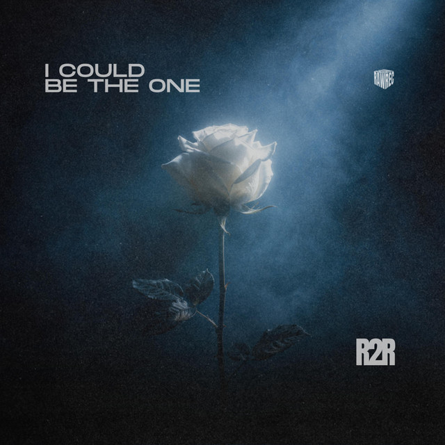 I Could Be the One