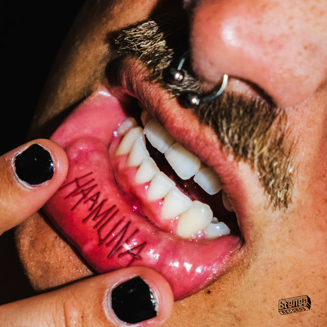Haamuna cover art