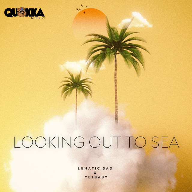 Looking out to sea
