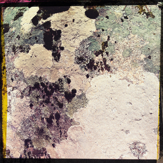 Metamorphosis cover