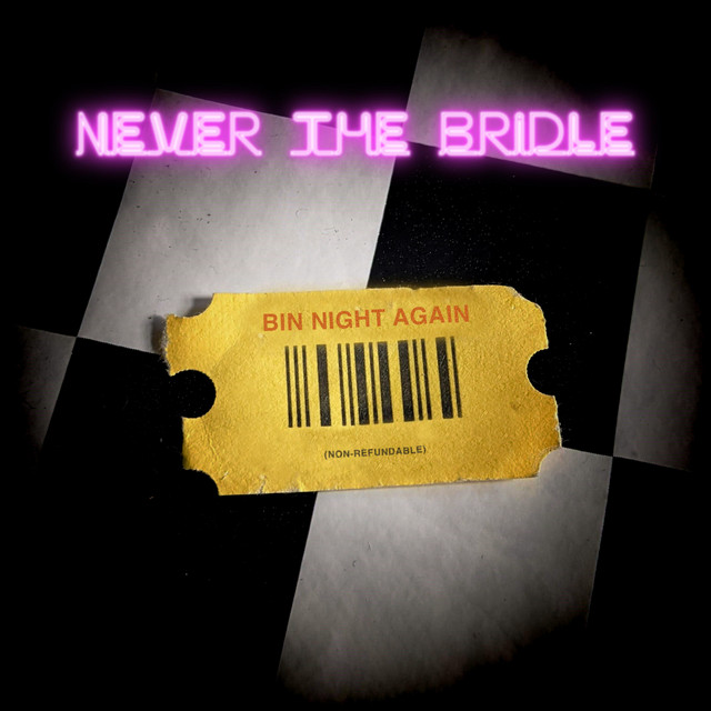 Bin Night Again cover art