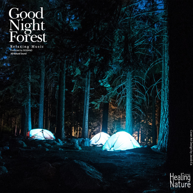 Good Night Forest cover art