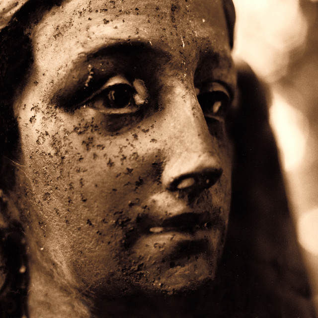 Elizabeth Anka Vajagic Photo