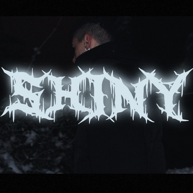 Shiny cover art
