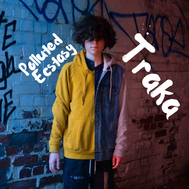 Polluted Ecstasy cover art
