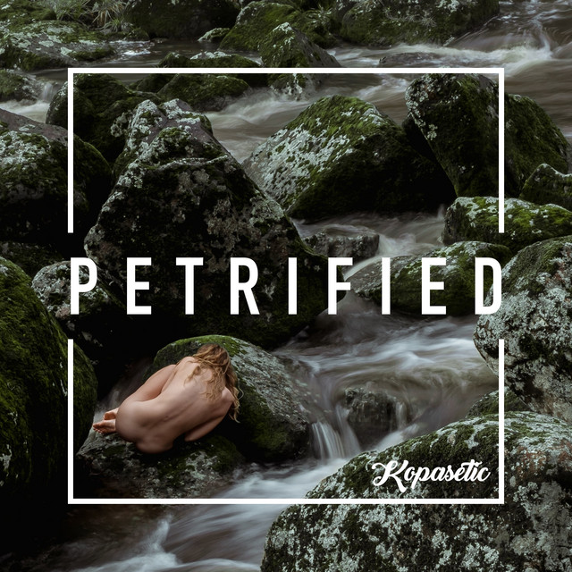 Petrified cover