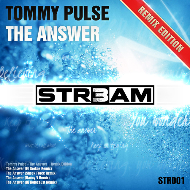 The Answer - Remix Edition cover art