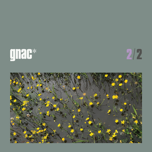 Continental Balcony Twilight, Pt. 2 cover art