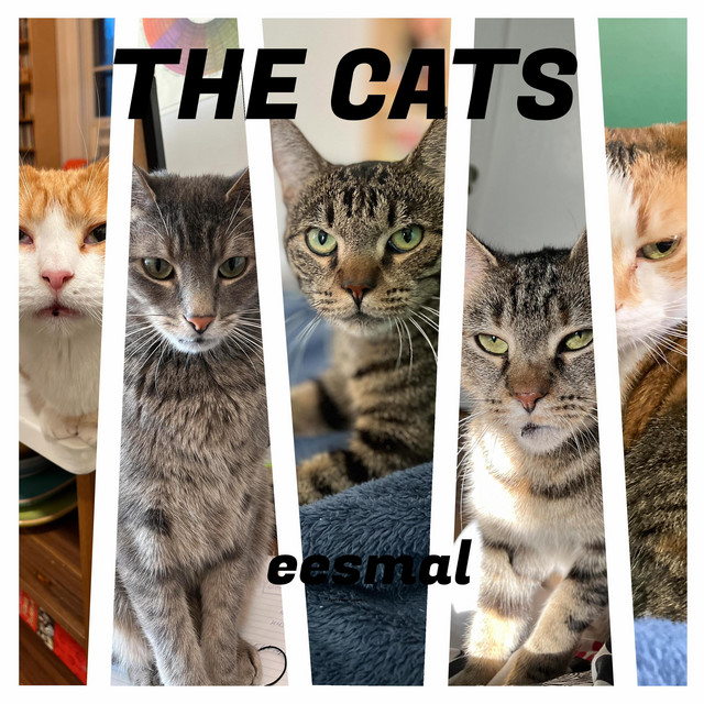 The Cats cover art