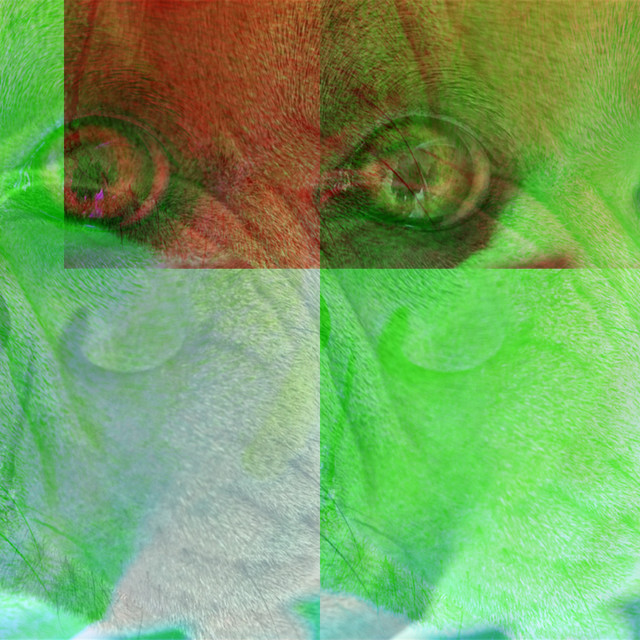 Harijans Tender cover art