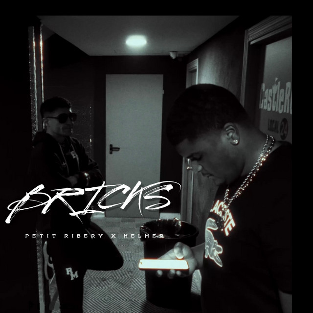 Bricks cover art