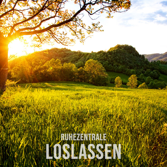 Loslassen cover art