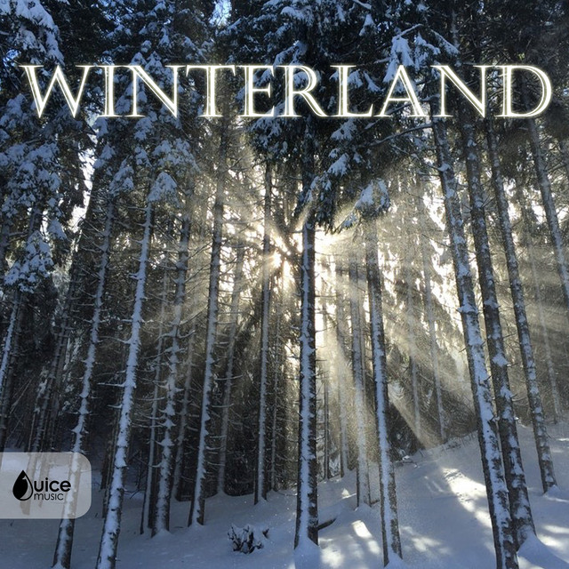 Winterland cover art
