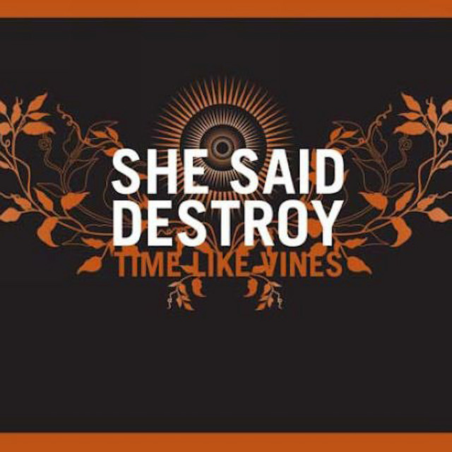 Time Like Vines cover