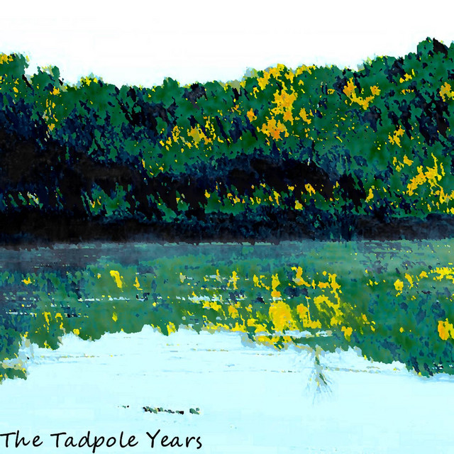 The Tadpole Years cover art