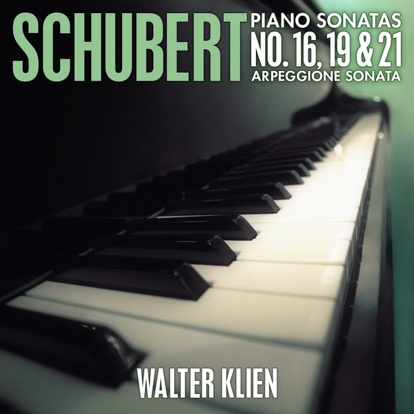 Sonata in A Minor for Arpeggione and Piano, D. 821: I. Allegro moderato cover art