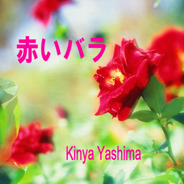赤いバラ cover