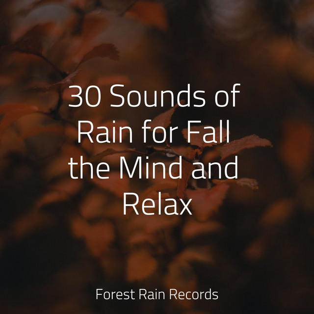 30 Sounds of Rain for Fall the Mind and Relax - Album by Soothing Chill ...