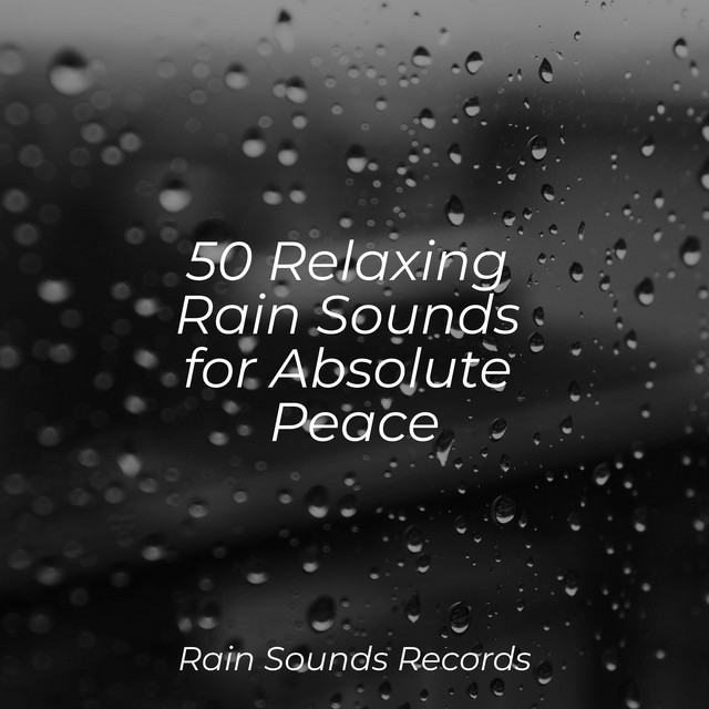 50 Relaxing Rain Sounds for Absolute Peace - Album by Sounds of Nature ...