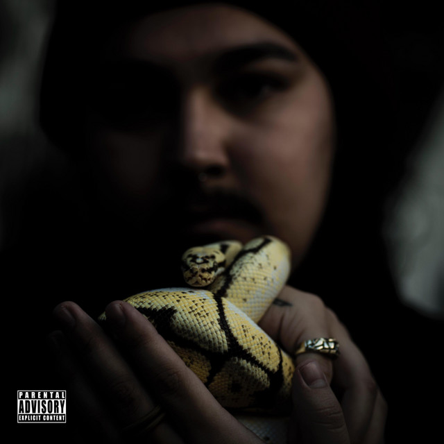 DiffiCULT cover art