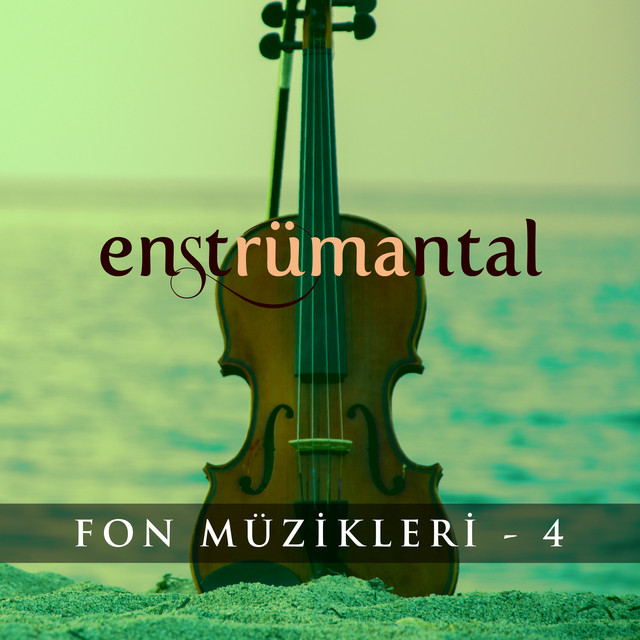 Enstrümantal Fon Müzikleri - 4 cover art