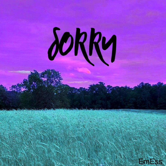 Sorry cover art