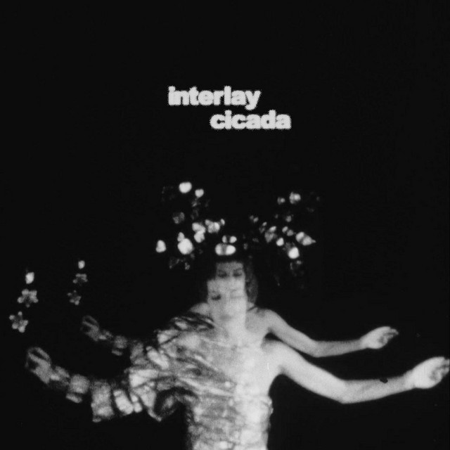 Cicada cover art